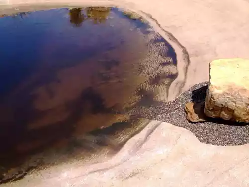 Piscina stile design bio problemi di proliferazione alghe nere